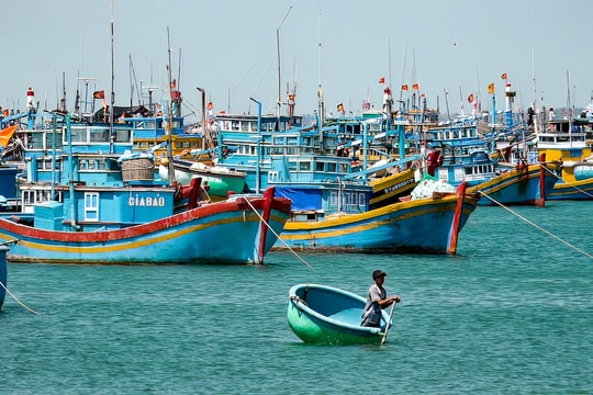 Triển khai 4 nhiệm vụ trọng tâm chống khai thác IUU và làm việc với EC lần 5