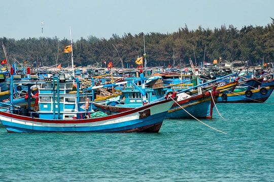 Quản lý chặt đội tàu để chống khai thác IUU hiệu quả