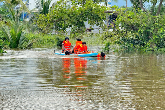 Hàm Mỹ (Hàm Thuận Nam):﻿ Hơn 200 hộ dân và 400 ha thanh long bị ngập do mưa lũ