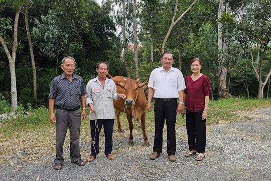 Trao bò sinh sản, tặng quà đến bà con nghèo, khó khăn