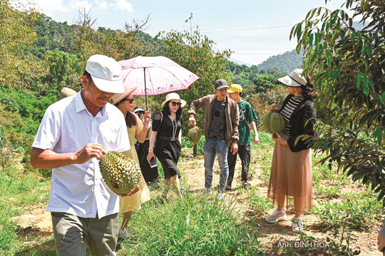 Binh Thuan hailed over 6.4 million visitors during the first 8 months