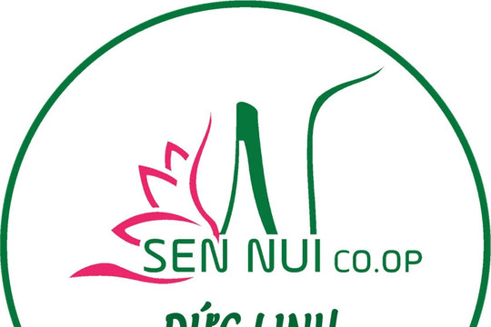 Hạt điều rang muối Sen Núi