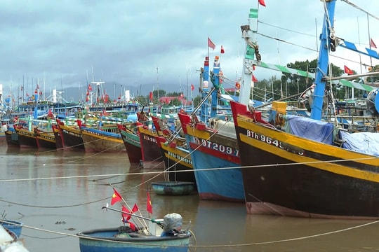 Phan Thiết: Quyết liệt giải quyết dứt điểm cho tàu cá “3 không” 