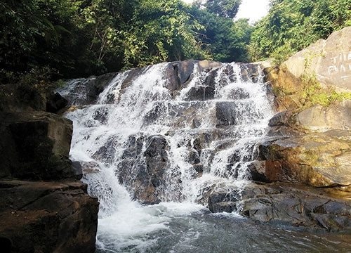 Đức Linh: Phát huy thế mạnh du lịch sinh thái, du lịch canh nông