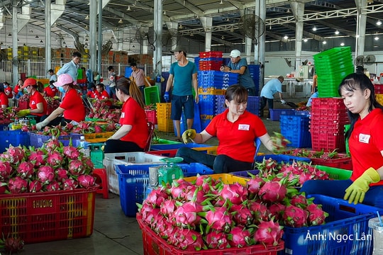 Khi công việc cạnh tranh lấy người lao động 