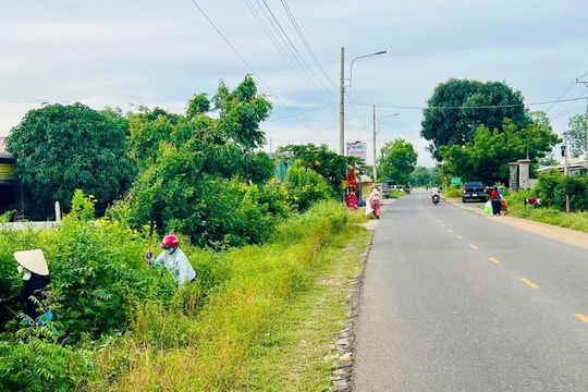 Phủ mảng xanh từ vùng ven đến nội thành Phan Thiết