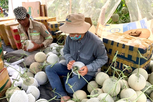 Tạo cơ chế cho hội nông dân tham gia cung cấp dịch vụ công