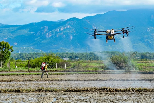 Binh Thuan Agriculture to embrace Digital Transformation and Green Transition