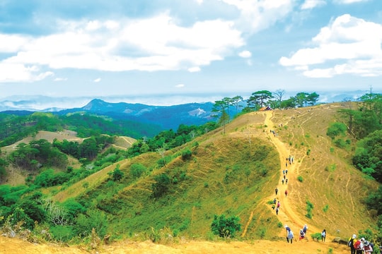 Trekking Tà Năng - Phan Dũng đến biển Cổ Thạch