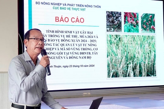 Sơ kết sản xuất trồng trọt năm 2024 vùng Đông Nam Bộ, Duyên hải Nam Trung Bộ và Tây Nguyên