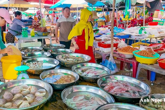 Thường xuyên giám sát để nâng cao chất lượng hoạt động quỹ tín dụng