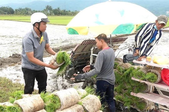 Hiệu quả từ nguồn vốn Quỹ hỗ trợ nông dân