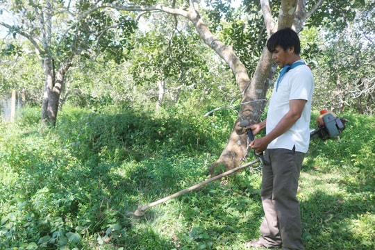 Câu chuyện thoát nghèo của anh Bờ Rông Râm