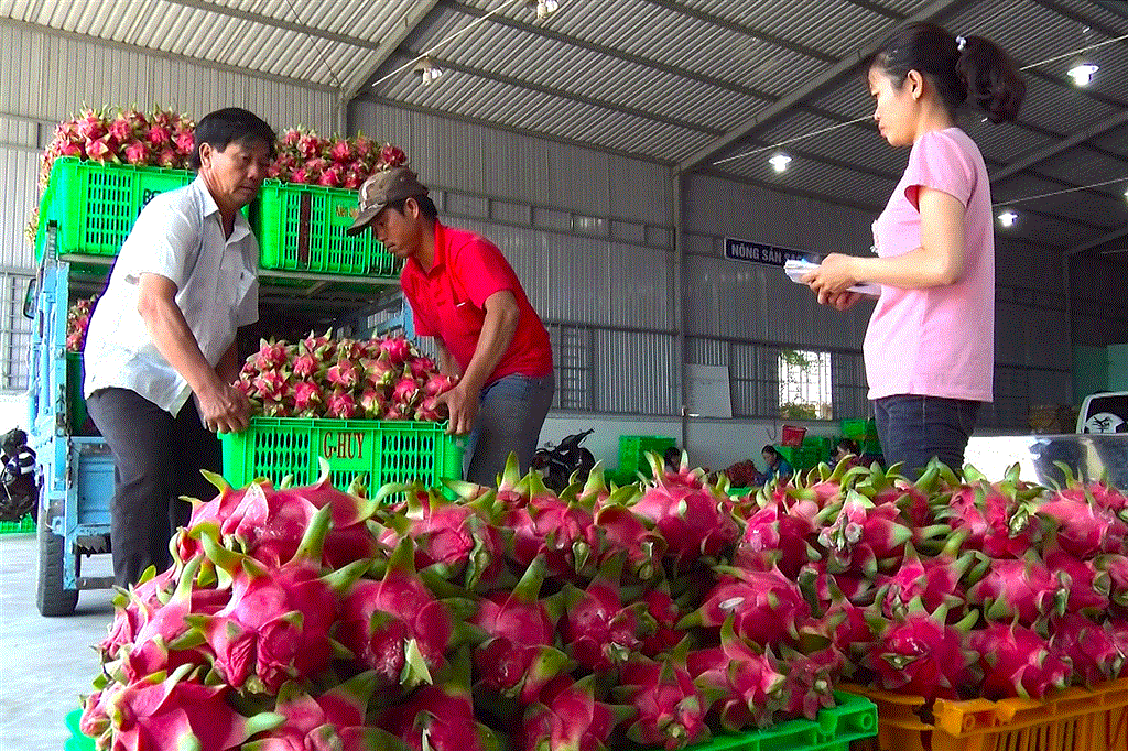 Phát triển kinh tế tập thể: Những nhiệm vụ và giải pháp chủ yếu