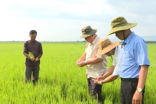 Liên kết sản xuất, cái bắt tay đôi bên cùng có lợi