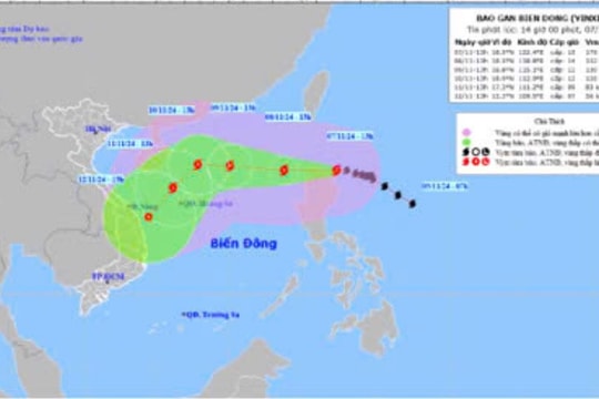 Bình Thuận chủ động ứng phó cơn bão YINXING