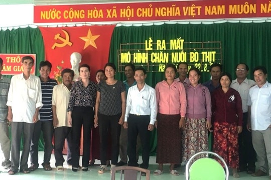 Nông dân Lâm Giang liên kết chăn nuôi bò 