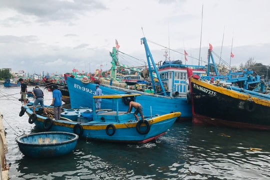 Xử phạt nghiêm những ngư dân không hợp tác đăng ký tàu cá “3 không”