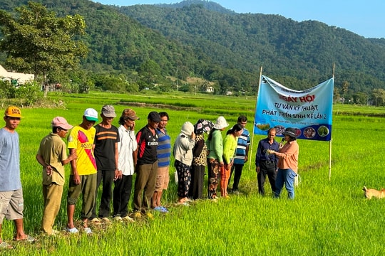 Đồng bào vùng cao Hàm Thuận Bắc với ngày hội sinh kế