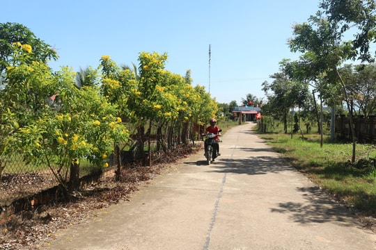 Sông Phan (Hàm Tân): Tân Hòa 12 năm liền giữ chuẩn Thôn văn hóa