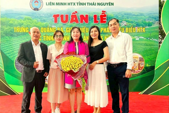  Bình Thuận tham gia Tuần lễ trưng bày, giới thiệu sản phẩm HTX tiêu biểu tại Thái Nguyên