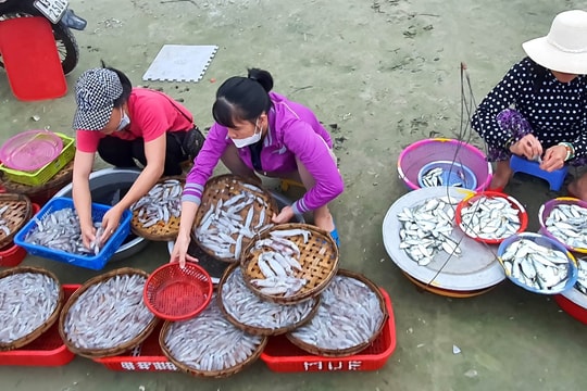 Niềm vui trong cuộc mưu sinh