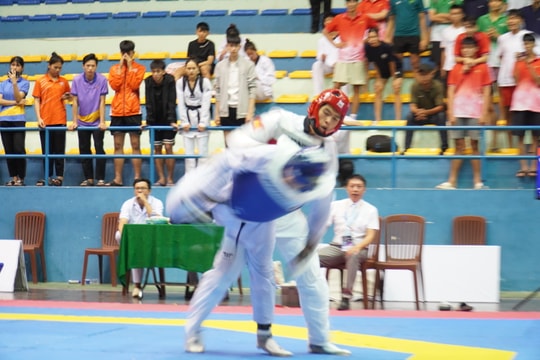 Hấp dẫn mùa giải vận động viên xuất sắc Taekwondo Quốc gia