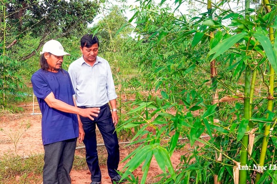 Hội thảo mô hình trồng tre lấy măng và nuôi dê sinh sản tại Thiện Nghiệp