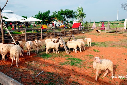 Khi điểm du lịch cộng đồng trở thành sản phẩm OCOP