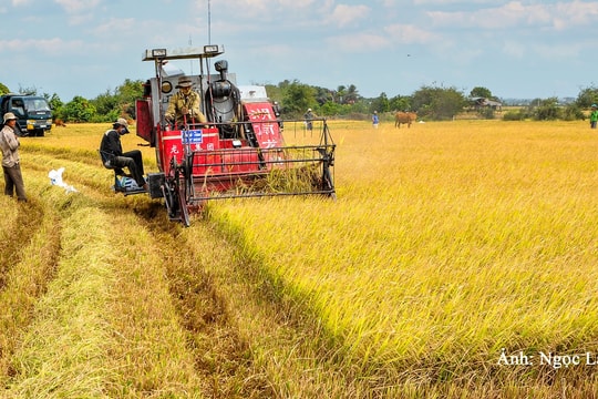 Phát triển ngành nông nghiệp nhanh và bền vững