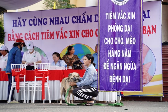 Giải pháp để hạn chế tử vong do bệnh dại