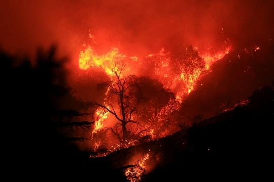 Gió mạnh làm tăng nguy cơ bùng phát các đám cháy mới ở Los Angeles