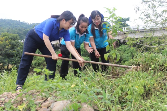 Tiếp tục đẩy mạnh các phong trào thi đua yêu nước trong Khối thi đua 7