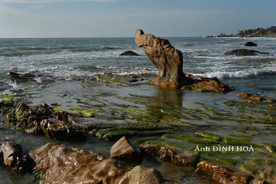 Mùa rêu Cổ Thạch