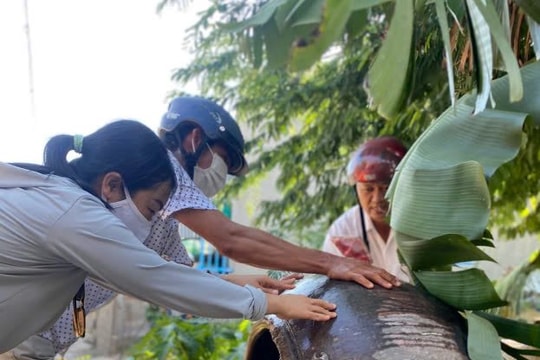 1 ca tử vong do sốt xuất huyết tại Hàm Tân