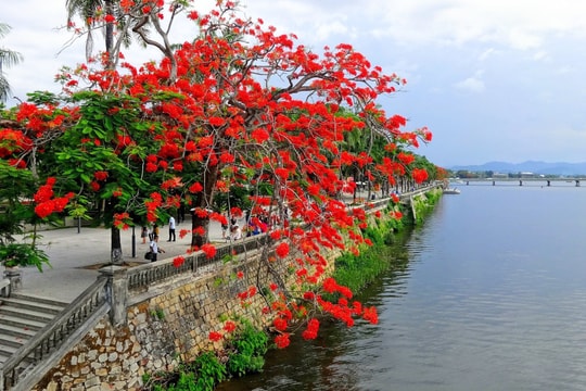 Gặp bạn cùng quê