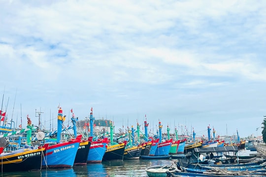 Phòng, chống khai thác IUU trước và trong quá trình sắp xếp chính quyền 2 cấp