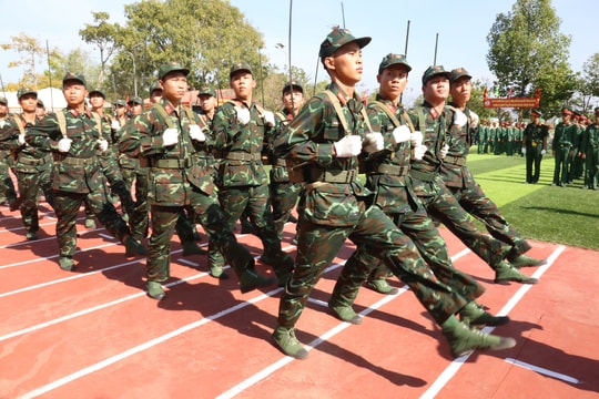 Bí thư Tỉnh ủy Nguyễn Hoài Anh tham dự lễ ra quân huấn luyện năm 2025