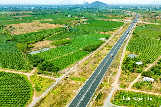 Vì sao thời điểm này các nhà đầu tư ào ạt vào Bình Thuận?