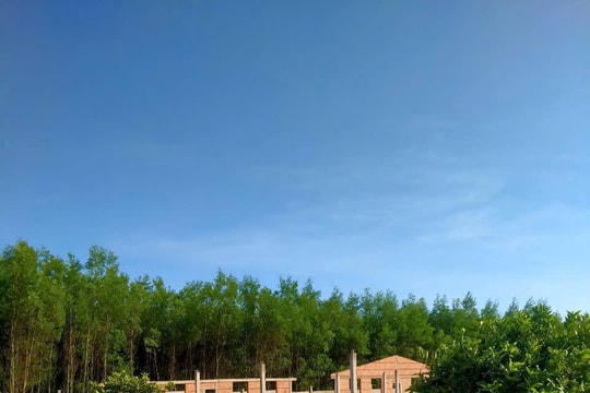 Hàm Tân: Xây trang trại chăn nuôi gần khu dân cư thôn Suối Tứ, xã Thắng Hải