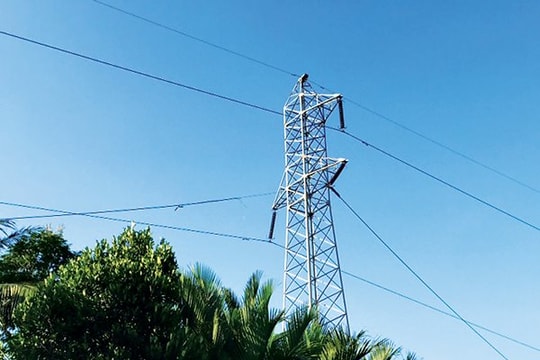 Đảm bảo an toàn lưới điện cao áp trên địa bàn Tuy Phong