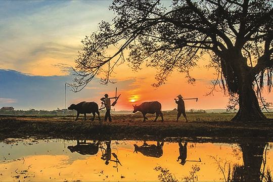 Huy Khiêm một thời để nhớ!