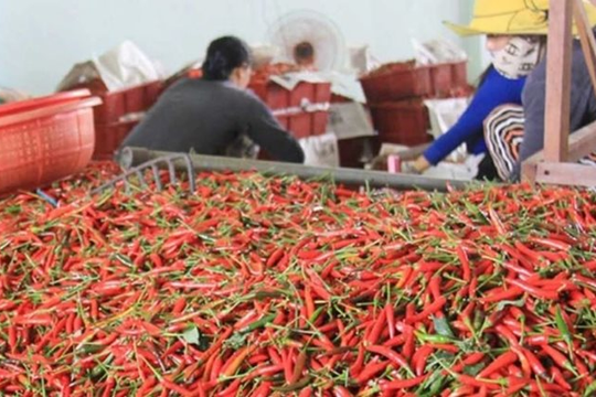 Chính sách thương mại và thuế quan của Mỹ định hình lại thị trường toàn cầu