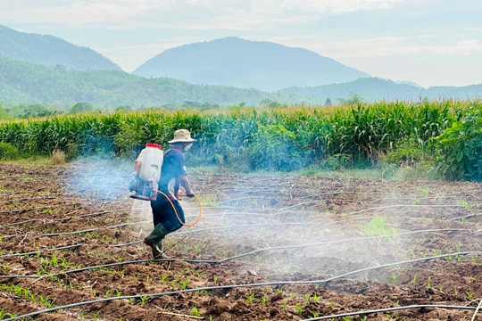 Phan Tiến: Thực hiện chính sách phát triển sản xuất, tăng thu nhập cho người dân