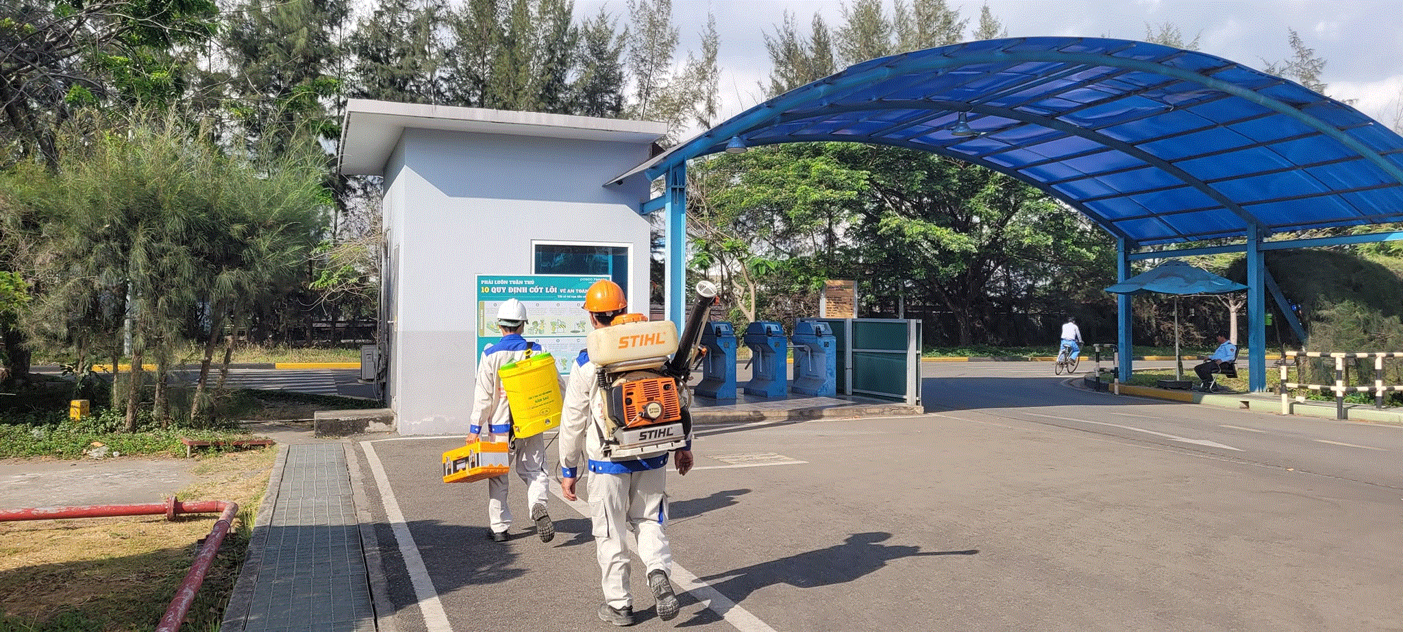 Diệt mối tận gốc cùng Phương Nam – Giải pháp bảo vệ ngôi nhà của bạn