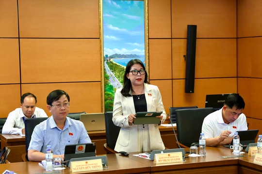  Cần tiêu chí rõ ràng để thành lập tòa chuyên trách mới