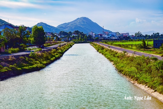 Chuyện làm ăn: Làm nông kiểu 5 nhà