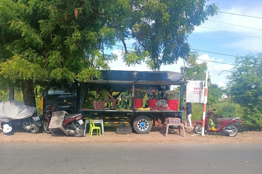 Sầu riêng giá rẻ chỉ là hàng dạt