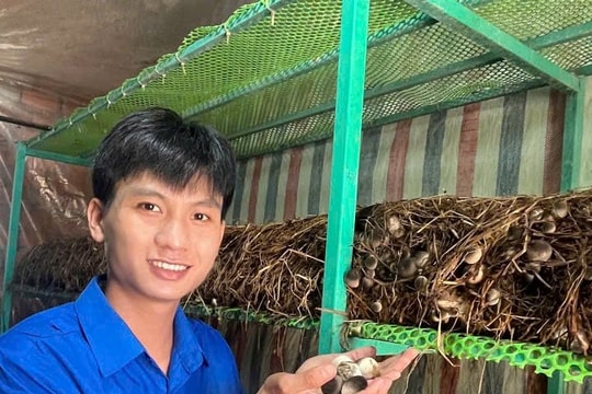 Kỹ sư gen Z và giấc mơ từ rơm hoai