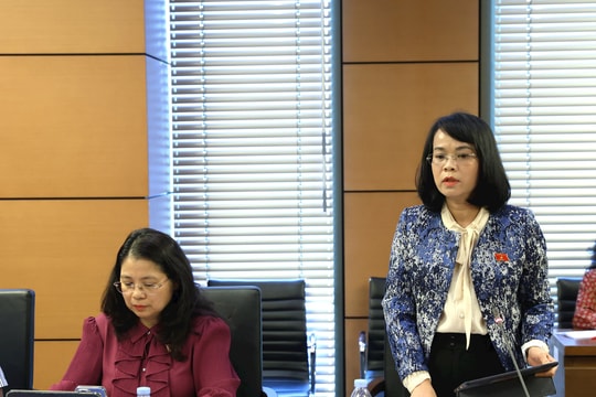Rà soát đồng bộ thẩm quyền tòa án cấp tỉnh trong giải quyết phá sản